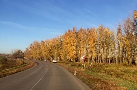 Погода тростянка волгоградская область