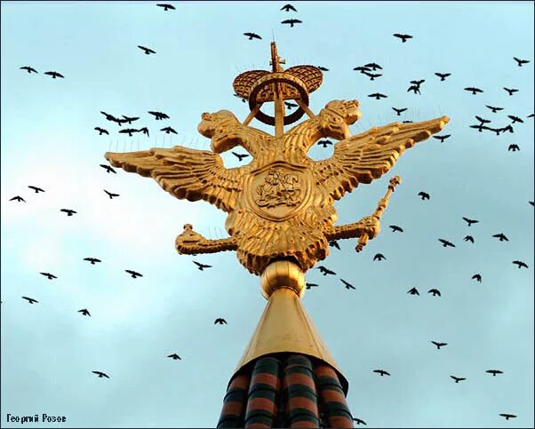 Медведь двуглавый орел башня кремля. Двуглавые орлы на башнях московского кремля. Медведь двуглавый орел башня кремля. Двуглавый орел кремль. Медведь двуглавый орел башня кремля.