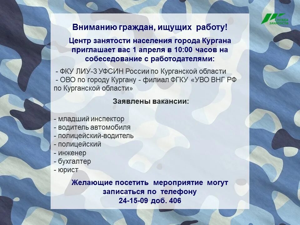 Цзн курганская область. Центр занятости населения Курганской области. Центр занятости населения г. Кургана Курганской области. ГКУ центр занятости населения города Шадринска Курганской области. Пособие в Курганской области в контакте.