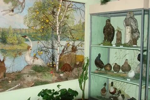 Краеведческий музей отдел