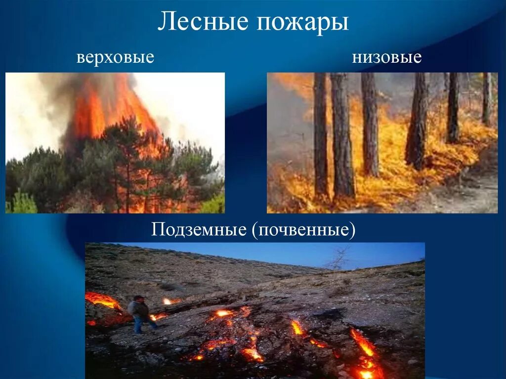 Подземный пожар и верховой. Низовой и верховой Лесной пожар. Низовые верховые и подземные пожары. Лесные пожары низовые подземные верховые. Низовые верховые и почвенные пожары.