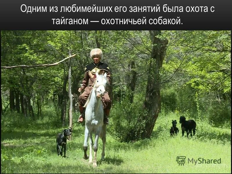 продается охотничья собака прикол. 5 года хаски. когкогда закончились патроны. смешной охотник. фразы про охоту.