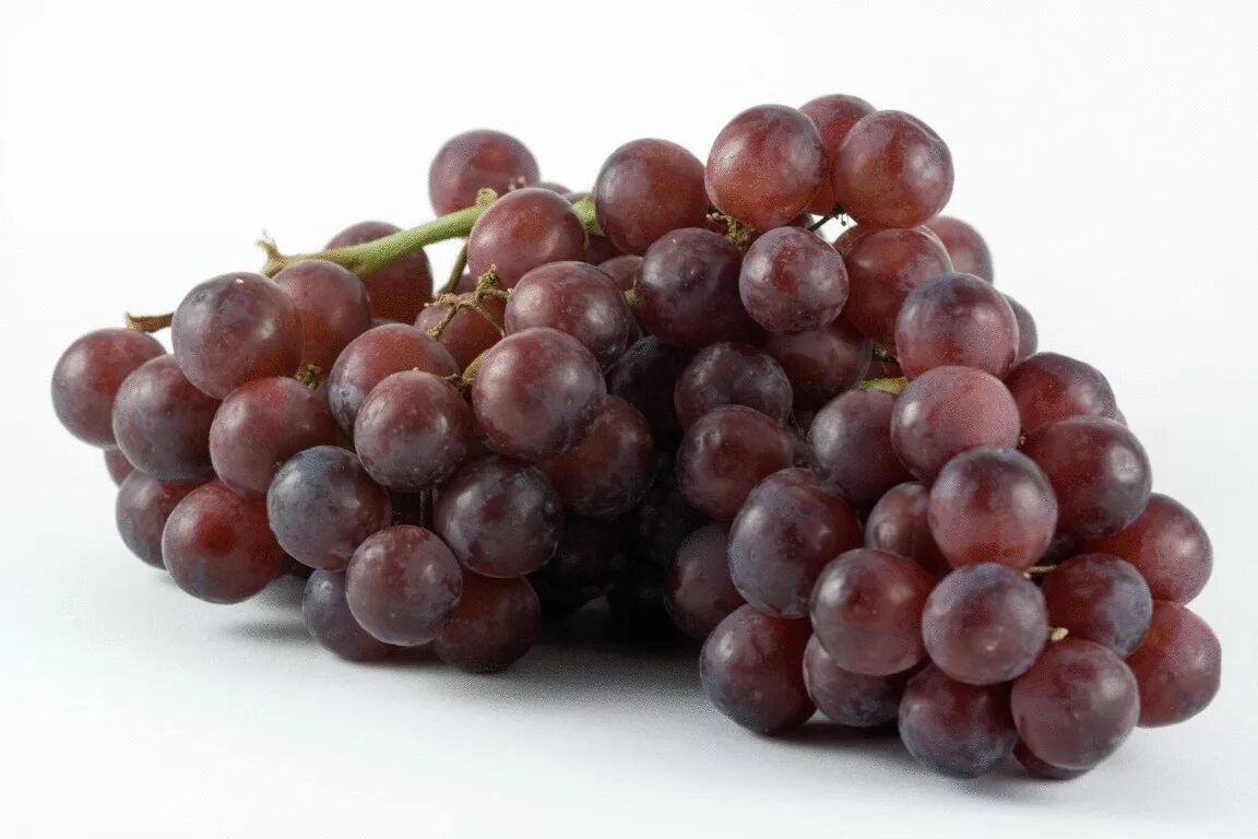 Red grape