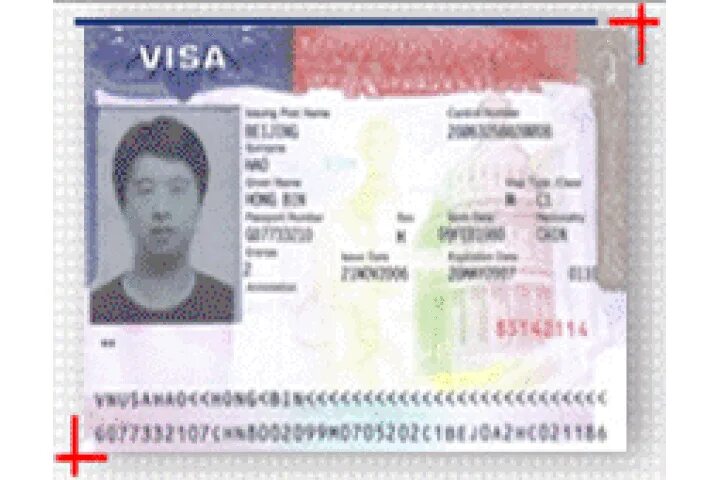 Transit visa. Транзитная виза США. Как выглядит транзитная виза США. Transit visa Canada foto.
