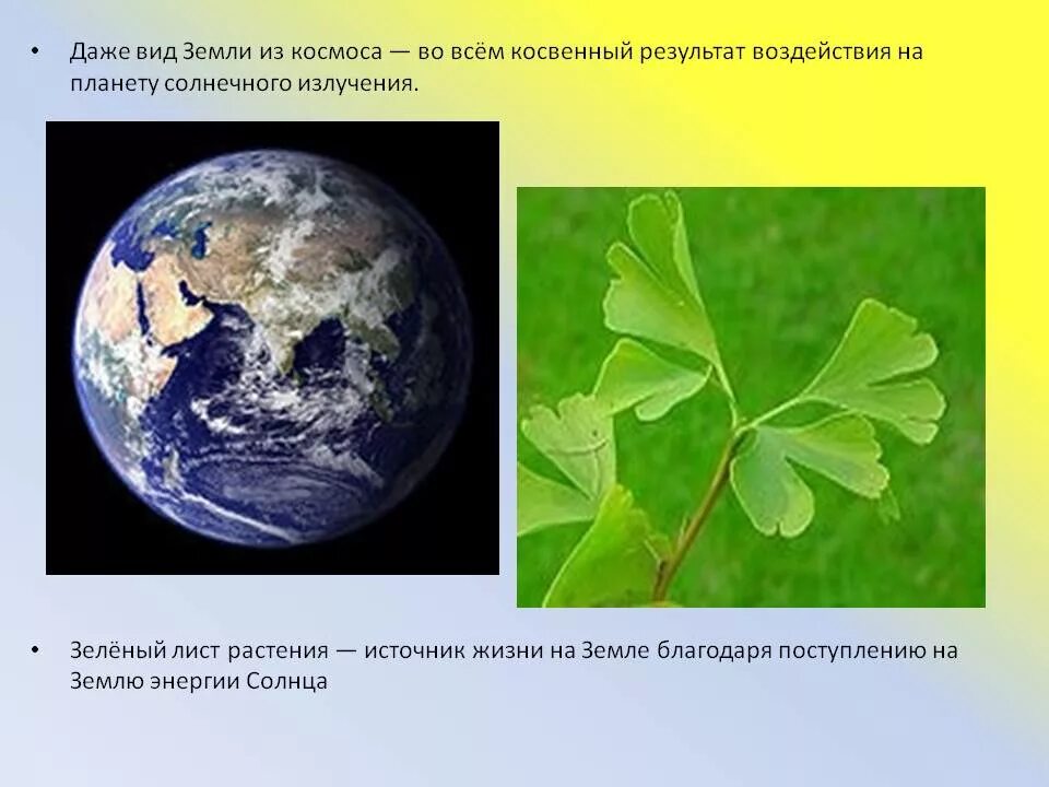 Космическая роль зеленых растений текст. Растения источник жизни на земле. Космическая роль зеленых растений. Космическая роль растений на земле. Сообщение на тему Космическая роль зеленых растений.