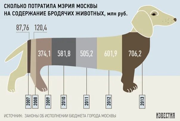 Статистика бездомных собак в России. Статистика бездомных животных. Бездомные животные статистика в России. Статистика по России бездомные животные.