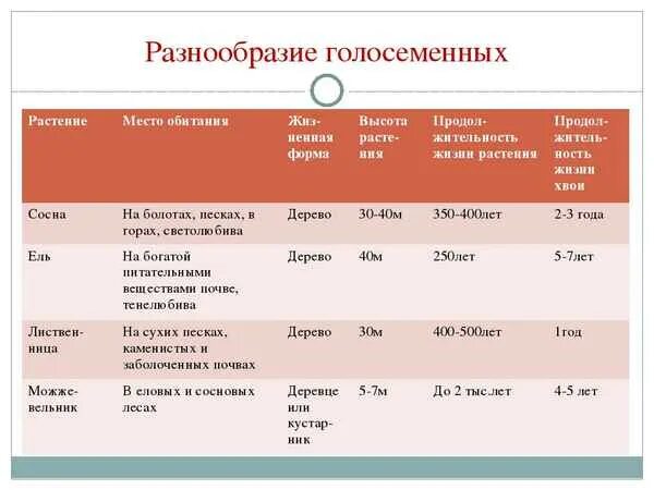 Многообразие голосеменных таблица. Многообразие голосеменных растений. Разнообразие голосеменных растений таблица. Голосеменные растения таблица. Таблица хвойных