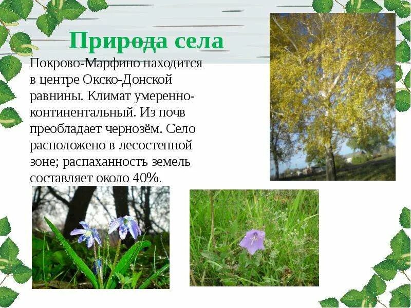 Проект природа на селе 1 класс ГДЗ "Окружающий мир 1 класс". Рабочая тетрадь вторая часть. Плешаков, Новицкая.