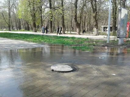 В парке залит