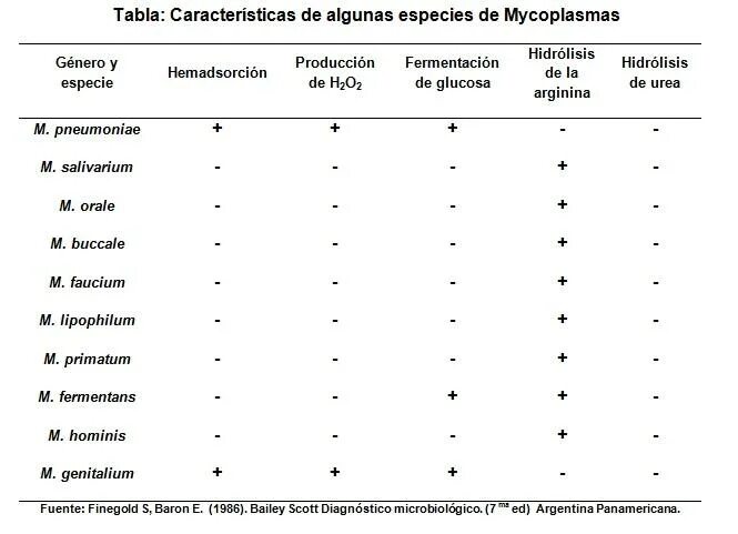 Лечение микоплазмы у мужчин. Mycoplasma Hominis диагностика. Микоплазма хоминис лечение схема. Mycoplasma pneumoniae биохимические свойства. Виды микоплазмы хоминис.
