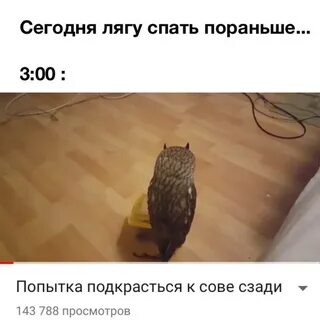Спать ложусь завтра рано вставать