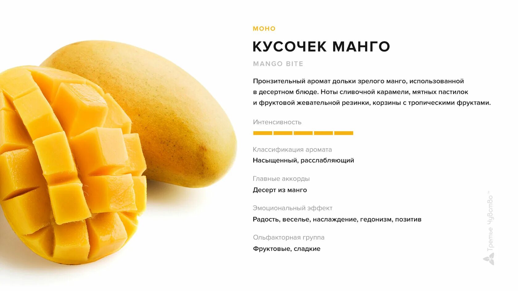 Mango skin vilhelm parfumerie пирамида. Montale mango manga 100 ml. Описание аромата манго. Vilhelm parfumerie mango skin edp 100ml. Парфюм dirty mango richard 100мл.