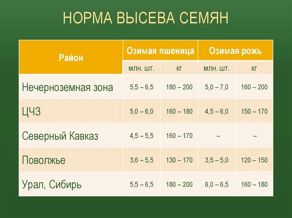 Нормы высева семян пшеницы зерновых. Норма высева озимой пшеницы на 1 га. Норма посева пшеницы на 1 га. Норма высева озимой пшеницы в кг. Расход семян на сотку