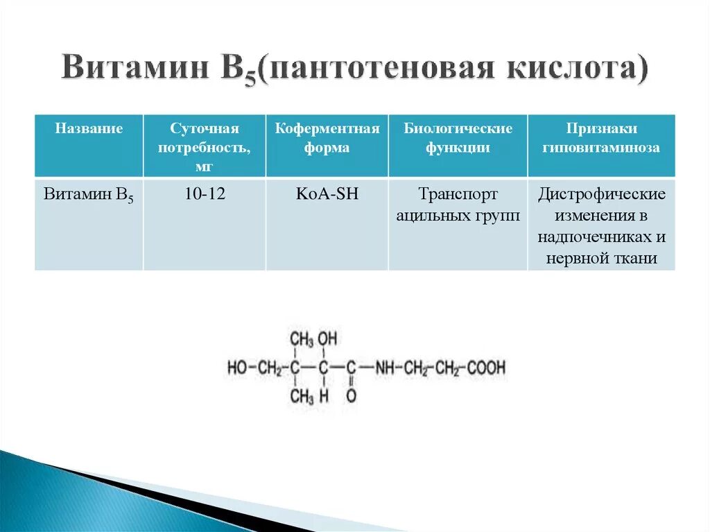 Активная форма в 5. Витамин b5 функции. Суточная потребность витамина б5. Витамин в5 функции. Витамин в5 пантотеновая кислота функции.