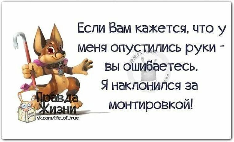 Правда жизни цитаты. Если вы думаете что у меня опустились руки. Если вы думаете что у меня опустились руки вы ошибаетесь. Не опускать руки цитаты. Не опускай рук не закрывай глаз