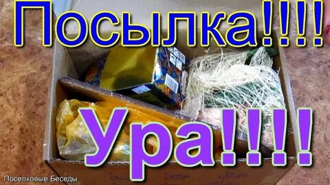 Пришли посылки видео