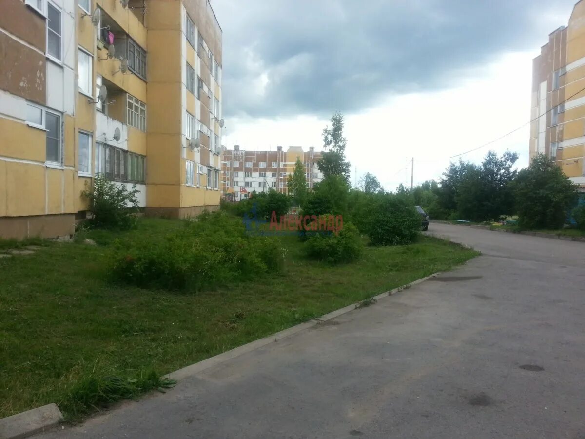 Поселок житково. История названия поселка житково. Погода в житково. Житково ленинградская область. Житково.