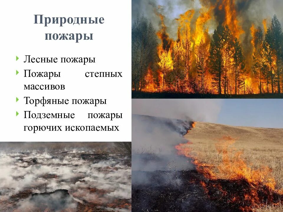 Природные пожары по обж. Природные пожары чс природного характера. Природные пожары делятся на. Основные поражающие факторы природных пожаров. Причины лесных пожаров.
