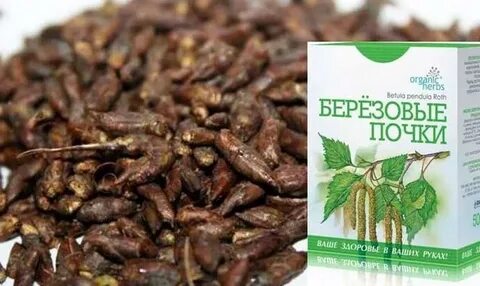 Почки собирают
