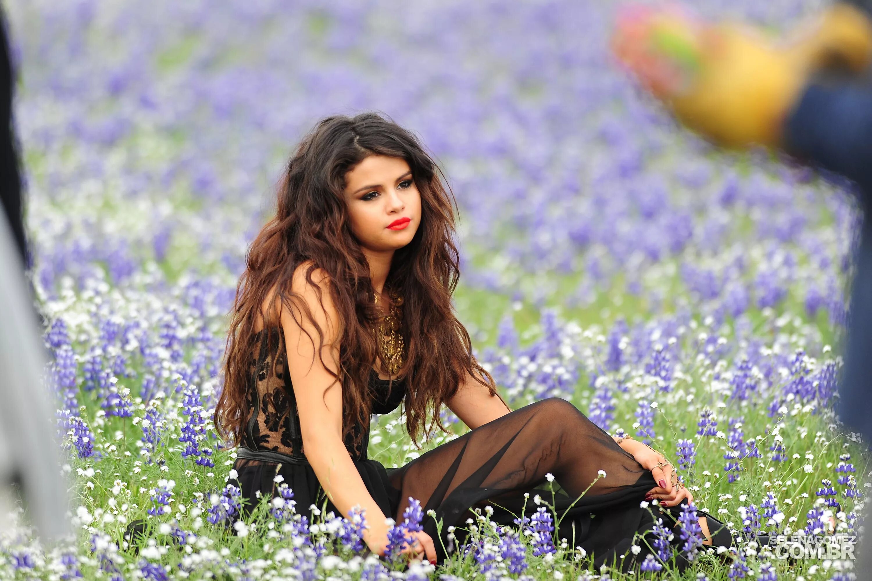 Selena gomez t. Selena gomez t. Selena gomez t. Selena gomez t. Selena gomez 2021.