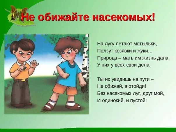 Обижать кругом. Не обижать насекомых. Берегите насекомых стихи для детей. Нельзя обижать детей. Не обижай природу.