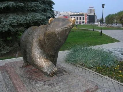 Медвежонок пермь