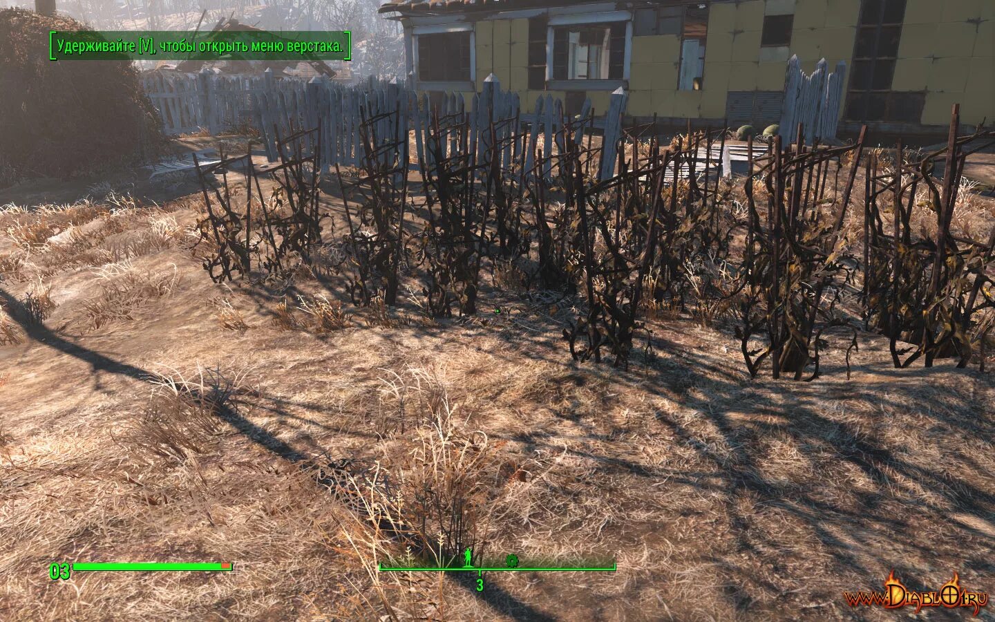 Fallout 76 мутафрукт. Мутафрукт fallout 4. Тошка растение. Мутафрукт fallout 4. Фоллаут 4 мутафрукт id.