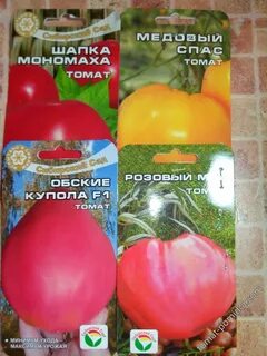 Томат купола описание