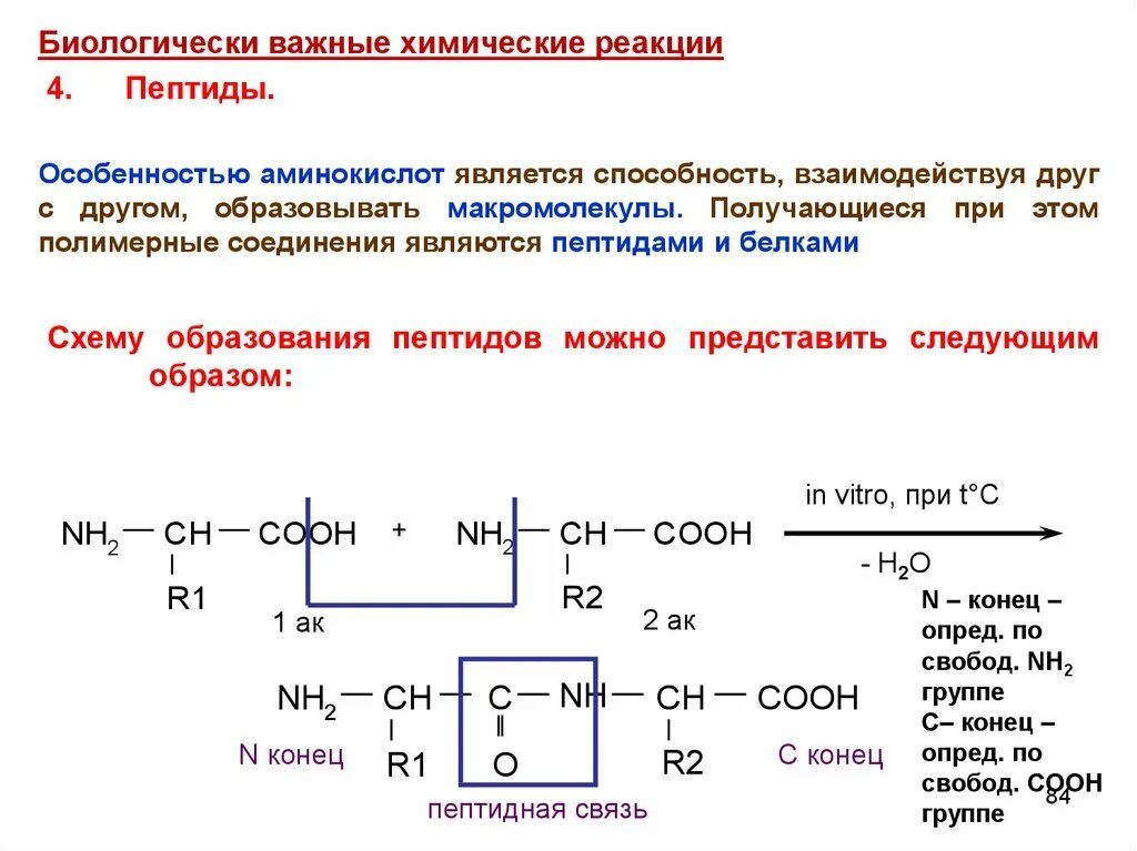 Какую функцию выполняют аминокислоты
