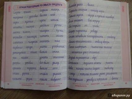 Тренажерный русский язык 2 класс
