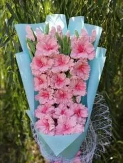 Гладиолусы из зефира