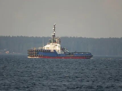 Помор мурманск