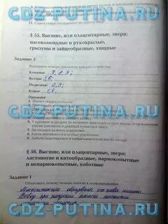 Тетрадь по биологии 7 класс суматохин