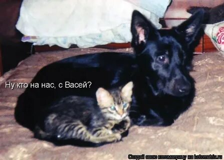 Ну кто же не любит