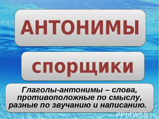 Может синоним глагол. Глаголы антонимы. Глаголы синонимы и антонимы. Глаголы антонимы примеры. Глаголы синонимы.