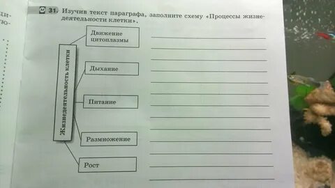 Пользуясь материалом параграфа заполните схему