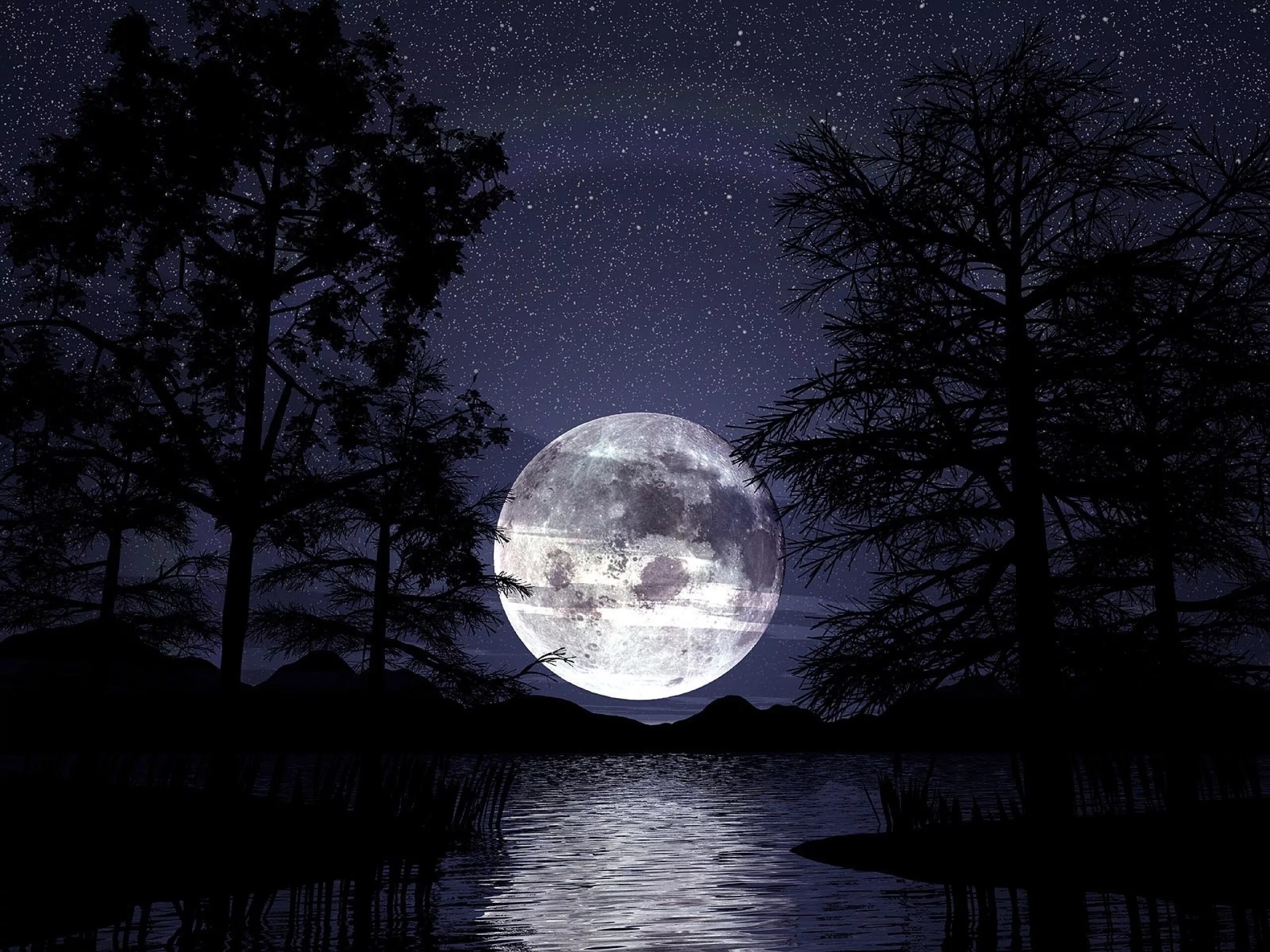 Светит холодная луна. Лунная ночь. Ночь Луна. Пейзаж ночь. Пейзаж с луной.