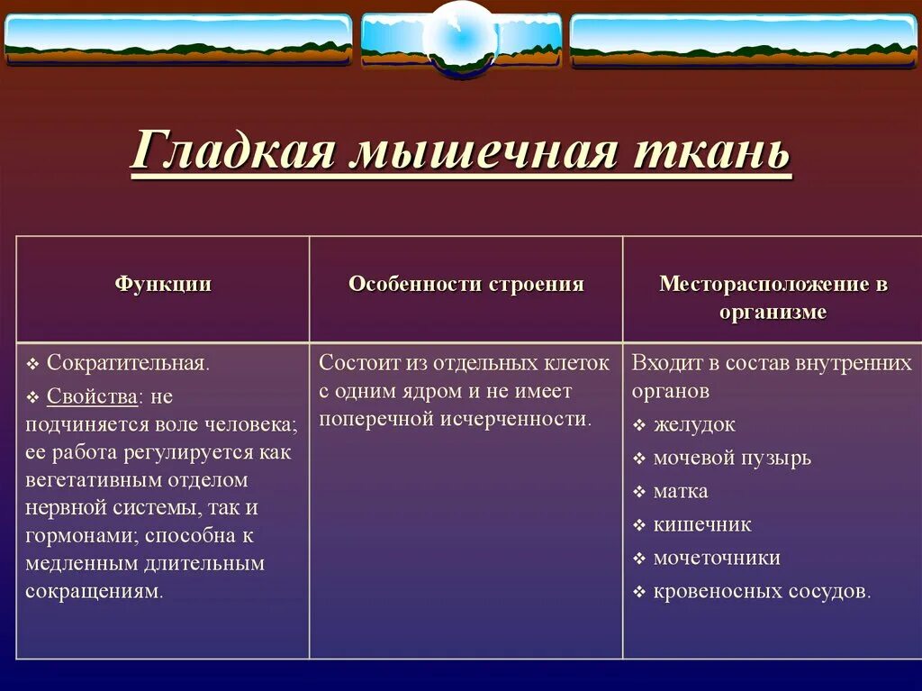 Какие функции выполняет гладкая ткань. Особенности соединительной ткани. Особенности строения гладкой мышечной ткани. Типы строение соединительной ткани. Соединительная особенности строения.