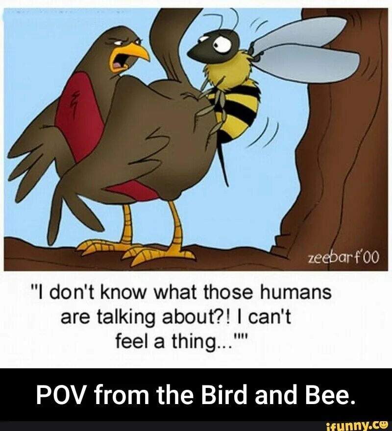 Birds and bees. Zeebarf. The Bird and the Bee. The Bird and the Bee группа.