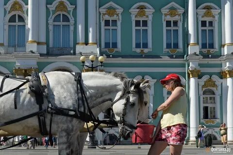 Санкт петербург приходит день