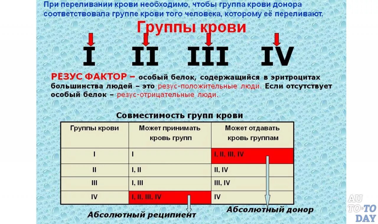 Группа крови 0 1 это положительная или отрицательная. Первая отрицательная и 4 отрицательная группа крови. 1 Положительная группа крови редкая. Резус фактор 2 группы крови. Что означает ау