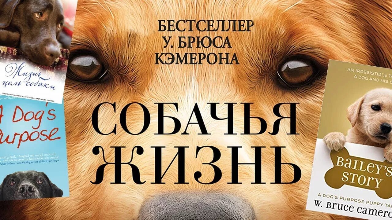 Жизнь и цель собаки Брюс Кэмерон книга. Брюс Кэмерон собачья жизнь. Собачья жизнь книга Брюс Кэмерон. Книга жизнь и цель собаки Брюс Кэмерон обложка.