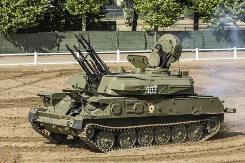 Зу шилка