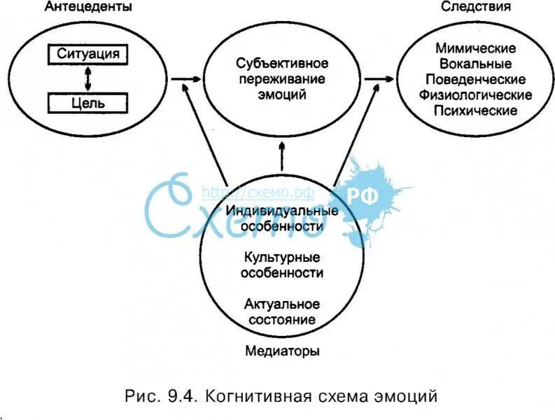 Технологии когнитивно ментального доминирования. Когнитивная психология схема. Когнитивные функции схема. Схема из когнитивной психологии. Структура когнитивной психологии.