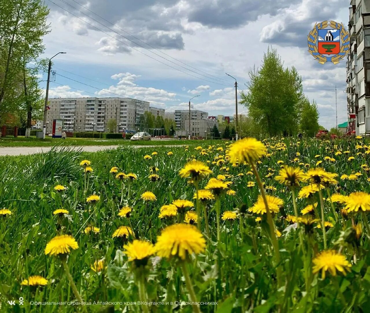 Московский алтайский край. Город Заринск Алтайский край. Заринск Алтайский край природа. Заринск Алтайский край фото города 2022. Заринск Алтайский край Википедия.