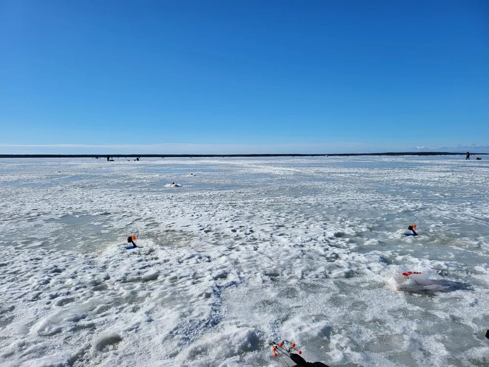 Финский залив соленая вода. Киперорт финский залив. Финский залив сейчас. Киперорт финский залив на карте. Ледяные яйца финский залив.