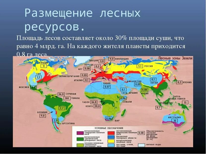 Суши с гребешком. Биоресурсы австралии. Роллы японское блюдо. Суши с икрой. Сушиопт дема.