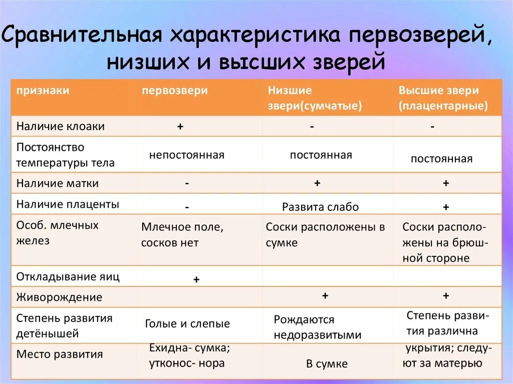 Различия были выше. Сравнительная характеристика первозверей низших и высших. Сравнительная характеристика первозверей низших и высших зверей. Характеристика высших зверей. Особенности первозверей.