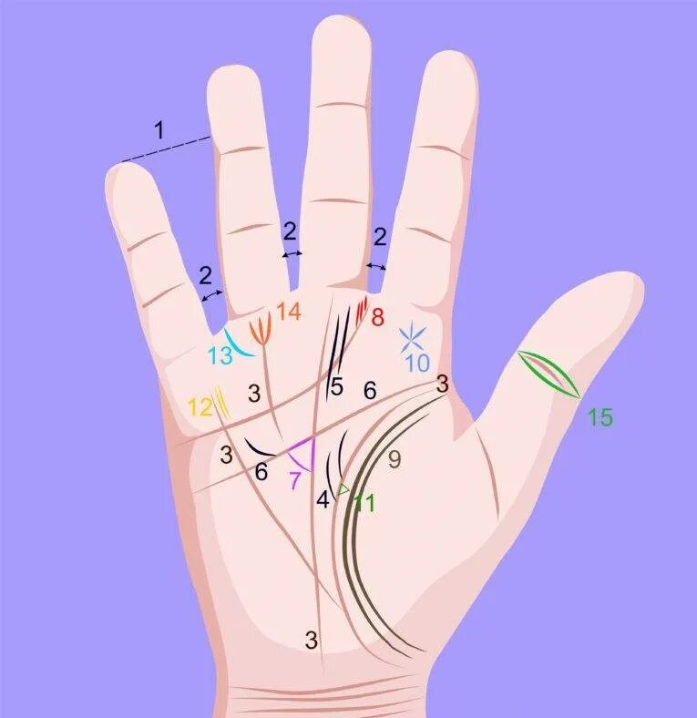 Хиромантия по руке значение. Хиромантия холм Аполлона знаки. Хиромантия линия смерти. Xiromantiya линия богатства. Холм Меркурия хиромантия.