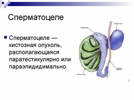 Жас қыздарды онлайн порно көру